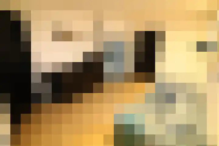 Buitenhof 9 Vriezenveen thumbnail 26