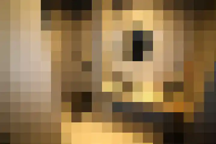 Buitenhof 9 Vriezenveen thumbnail 29