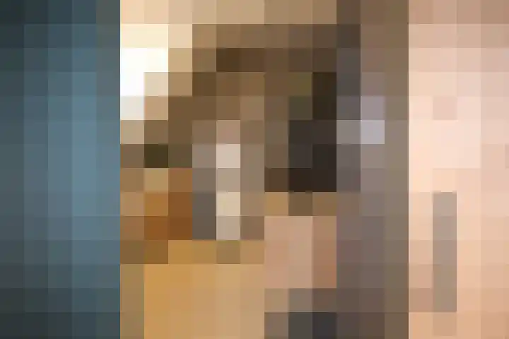 Buitenhof 9 Vriezenveen thumbnail 41