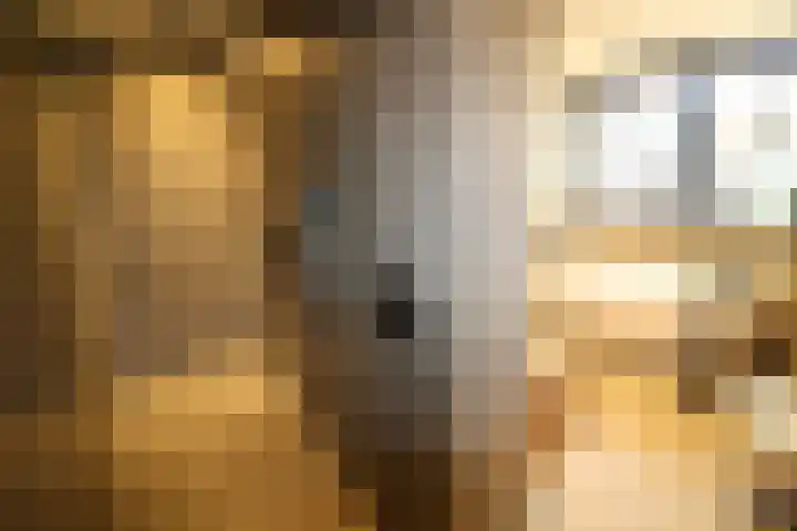 Buitenhof 9 Vriezenveen thumbnail 44