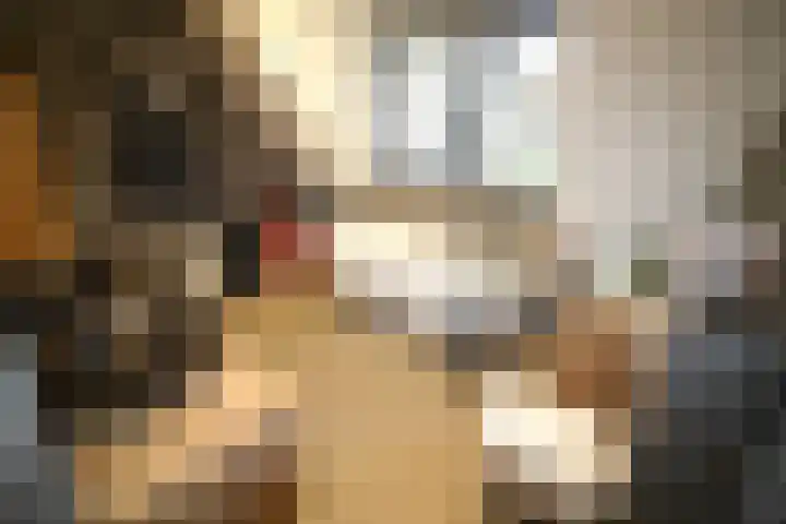 Buitenhof 9 Vriezenveen thumbnail 45