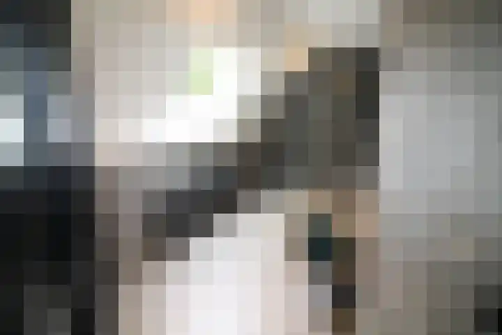 Buitenhof 9 Vriezenveen thumbnail 52