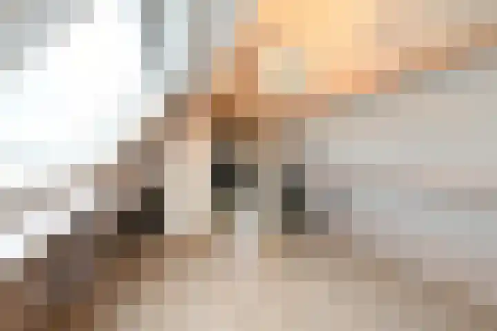 Buitenhof 9 Vriezenveen thumbnail 56