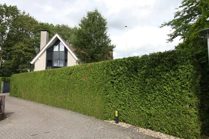 Buitenhof 9 Vriezenveen thumbnail 57