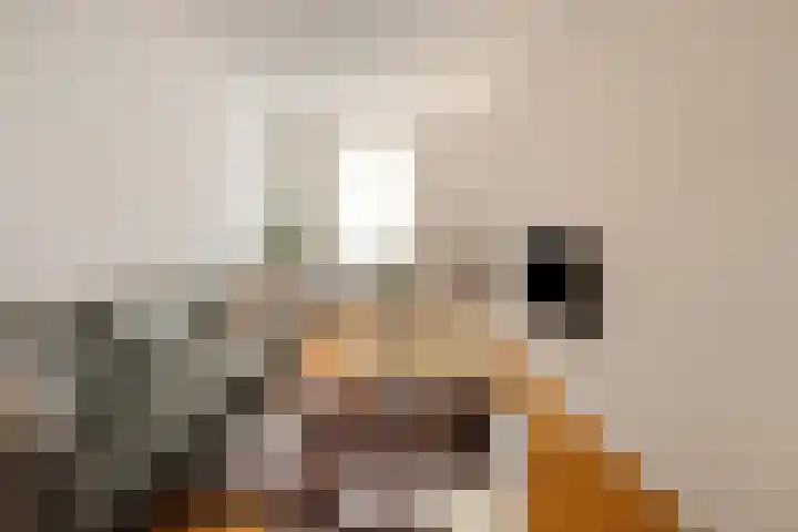 Buitenhof 9 Vriezenveen thumbnail 58