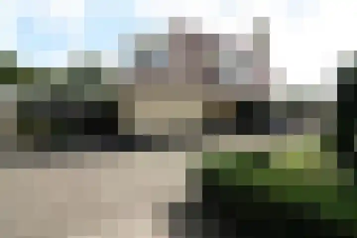 Buitenhof 9 Vriezenveen thumbnail 59