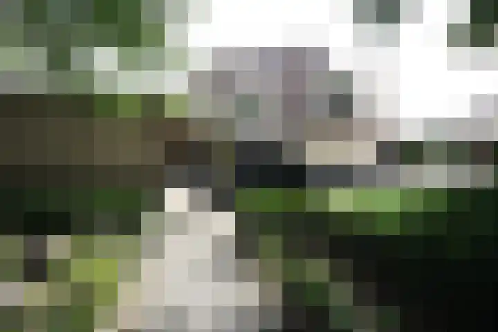 Buitenhof 9 Vriezenveen thumbnail 62