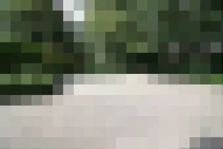 Buitenhof 9 Vriezenveen thumbnail 63