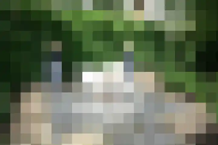 Buitenhof 9 Vriezenveen thumbnail 64