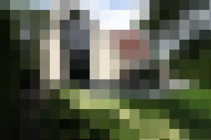 Buitenhof 9 Vriezenveen thumbnail 71