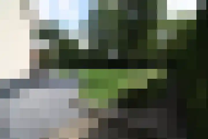 Buitenhof 9 Vriezenveen thumbnail 72