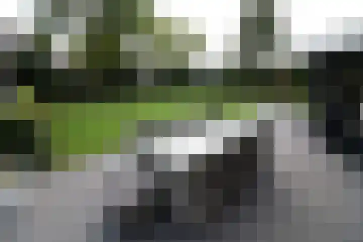 Buitenhof 9 Vriezenveen thumbnail 74