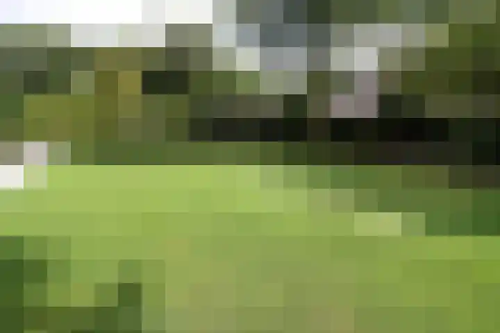 Buitenhof 9 Vriezenveen thumbnail 76