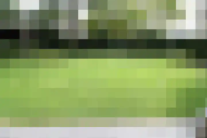 Buitenhof 9 Vriezenveen thumbnail 77