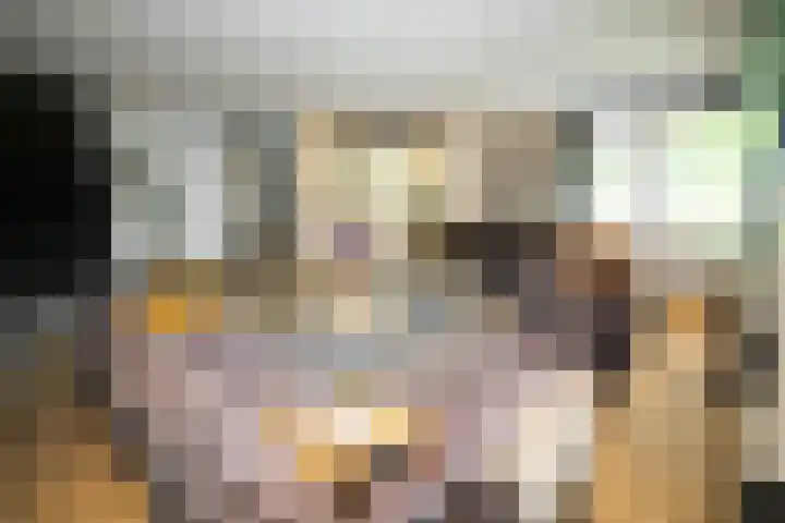 Buitenhof 9 Vriezenveen thumbnail 8