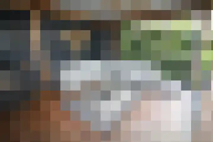 Buitenhof 9 Vriezenveen thumbnail 82