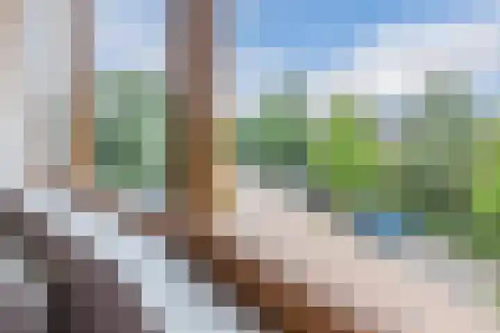 Buitenhof 90 Uithoorn thumbnail 28