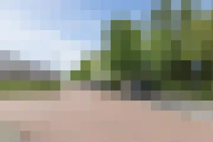 Buitenhof 90 Uithoorn thumbnail 38