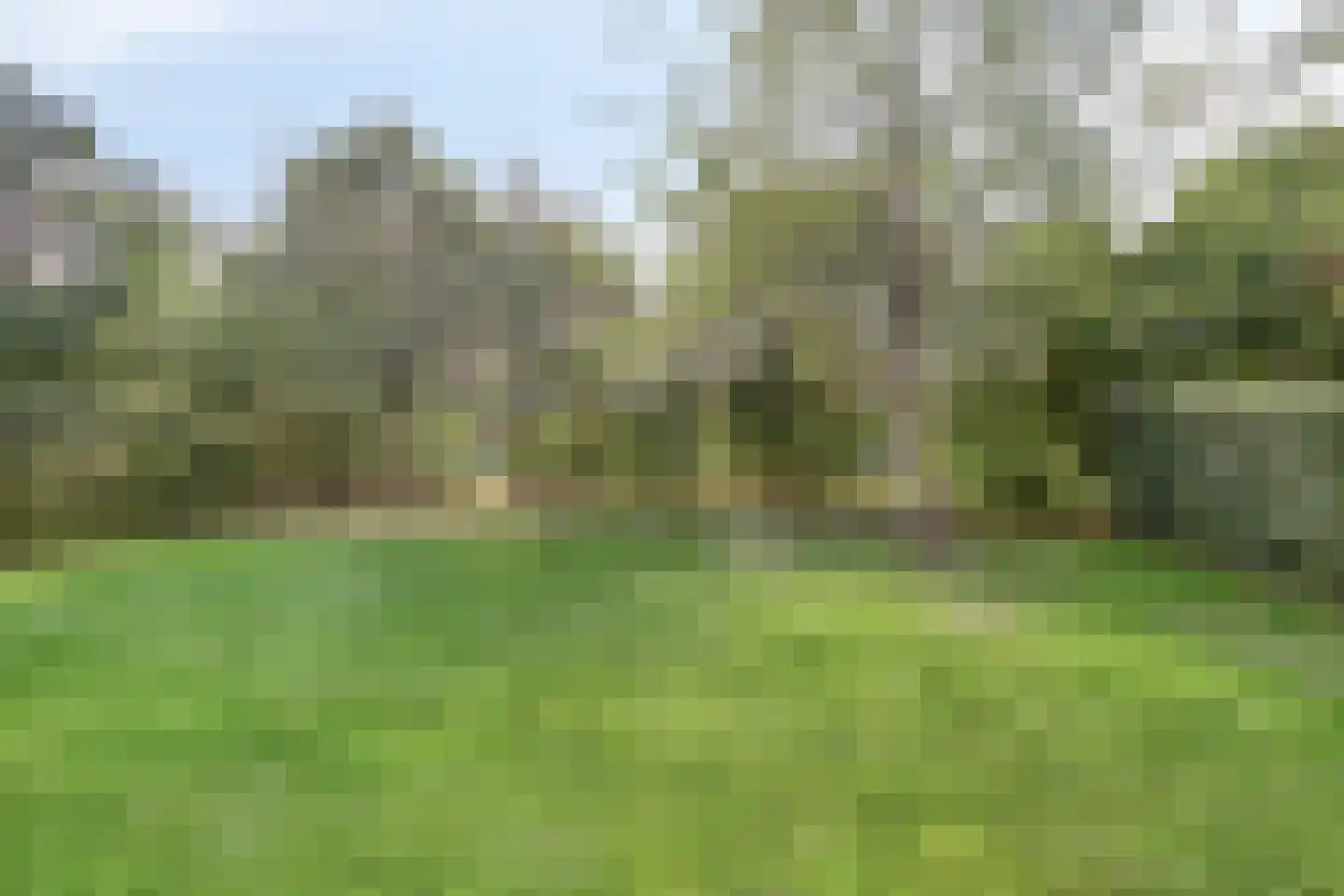 Buitenhof de Leistert 109 Roggel thumbnail 25
