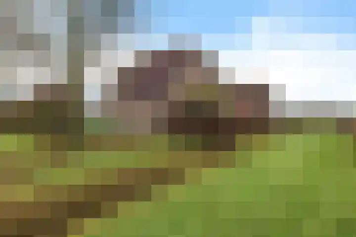 Buitenhof de Leistert 14 Roggel thumbnail 41