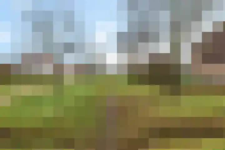 Buitenhof de Leistert 14 Roggel thumbnail 42