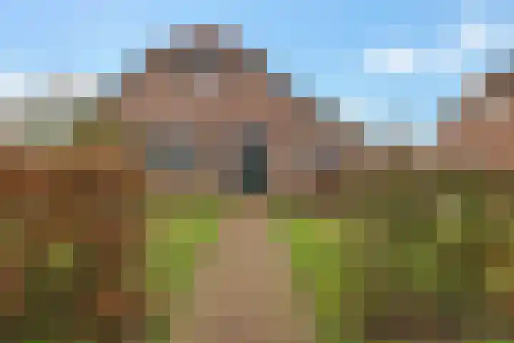 Buitenhof de Leistert 14 Roggel thumbnail 43