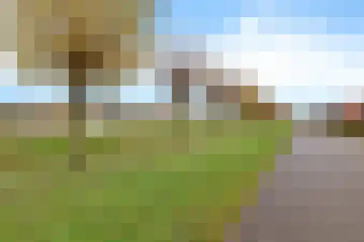 Buitenhof de Leistert 14 Roggel thumbnail 45