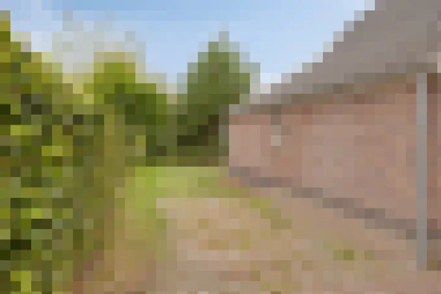 Buitenhof de Leistert 143 Roggel thumbnail 23