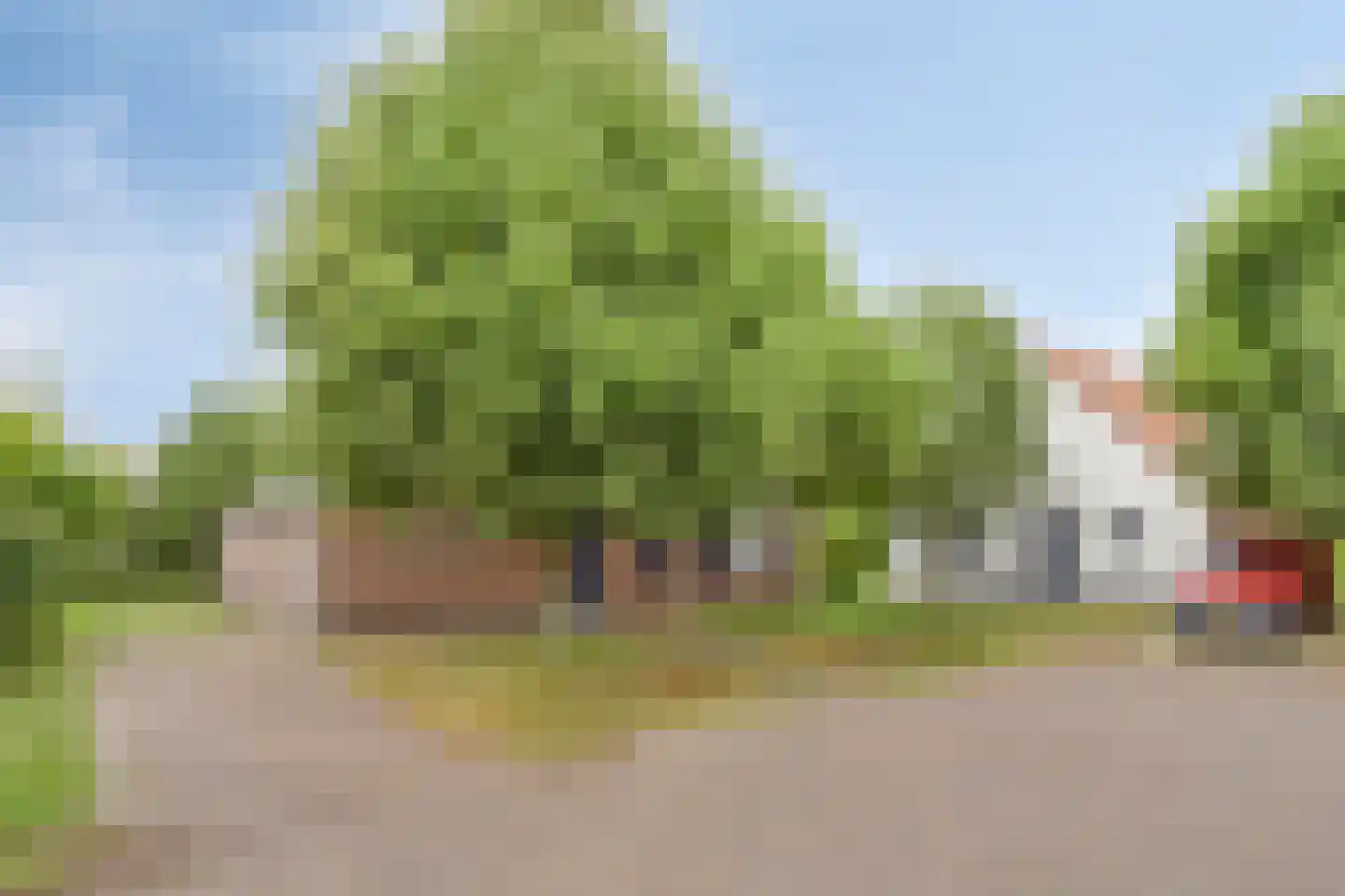 Buitenhof de Leistert 143 Roggel thumbnail 28