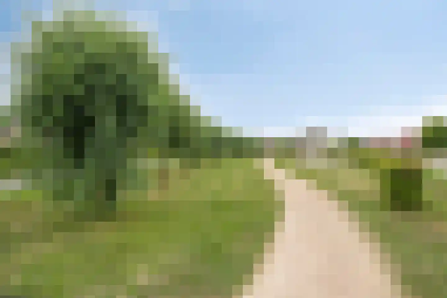Buitenhof de Leistert 143 Roggel thumbnail 30