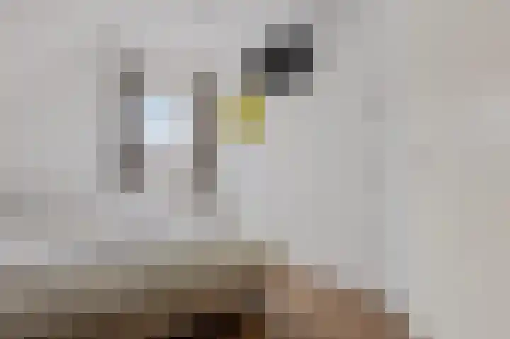 Buitenhof de Leistert 15 Roggel thumbnail 19