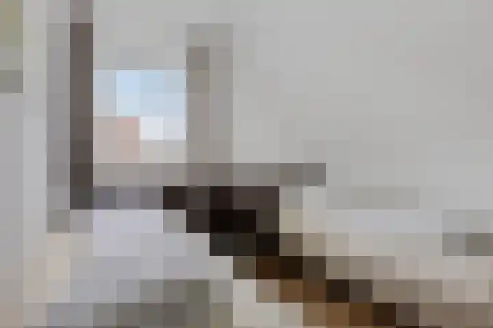 Buitenhof de Leistert 15 Roggel thumbnail 21