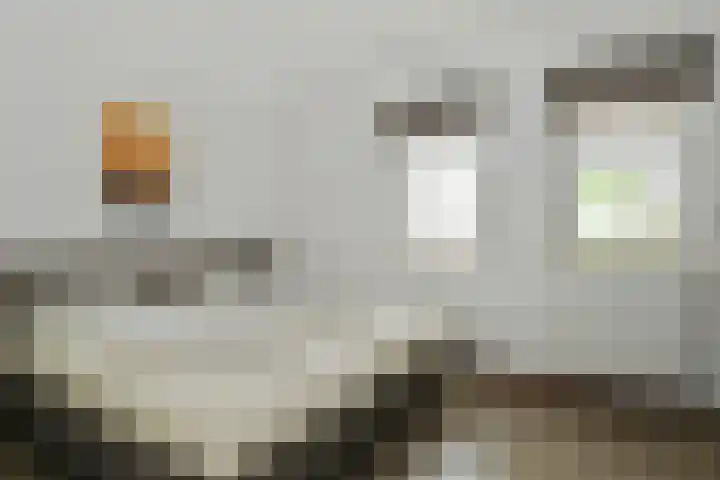 Buitenhof de Leistert 251 Roggel thumbnail 13