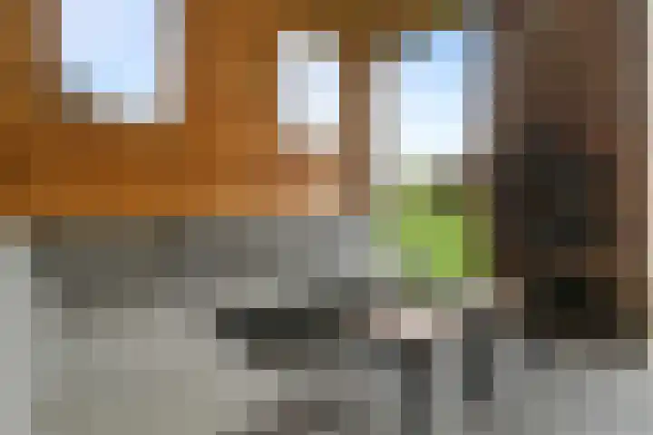 Buitenhof de Leistert 251 Roggel thumbnail 26