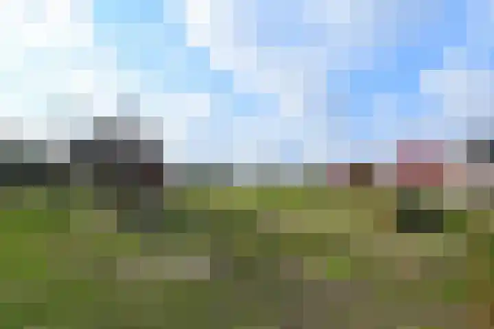 Buitenhof de Leistert 251 Roggel thumbnail 31