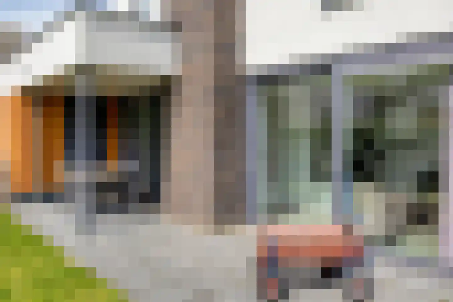 Buitenhof de Leistert 295 Roggel thumbnail 21