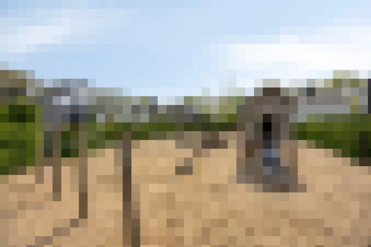 Buitenhof de Leistert 316 Roggel thumbnail 31