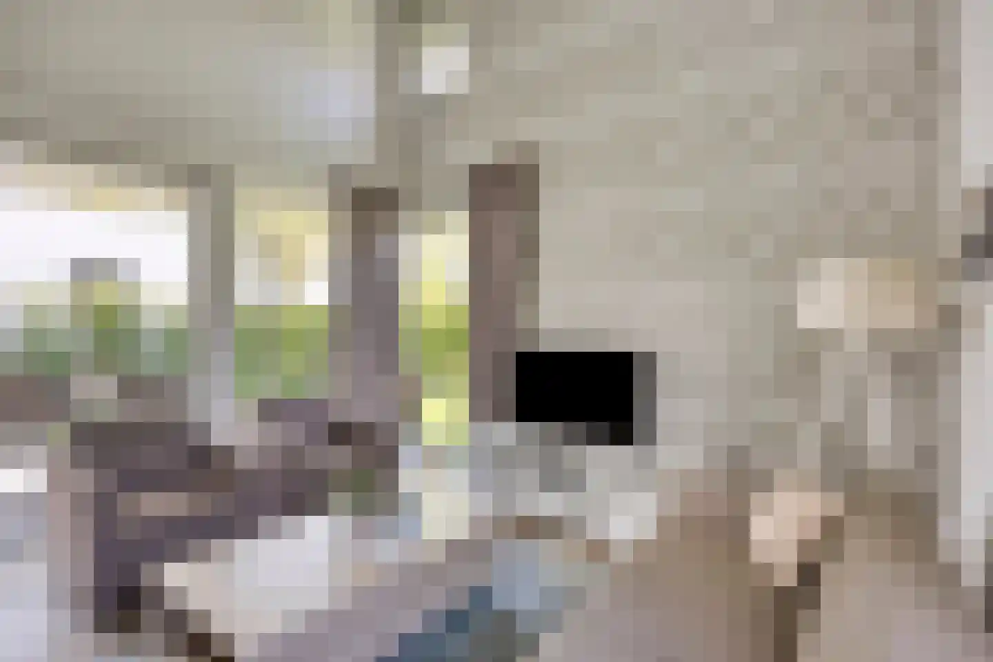Buitenhof de Leistert 316 Roggel thumbnail 4
