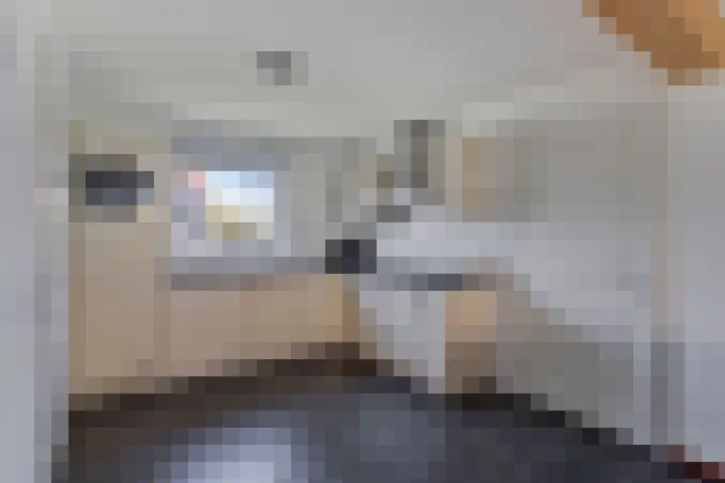Buitenhof de Leistert 42 Roggel thumbnail 8