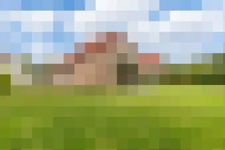 Buitenhof de Leistert 46 Roggel thumbnail 42