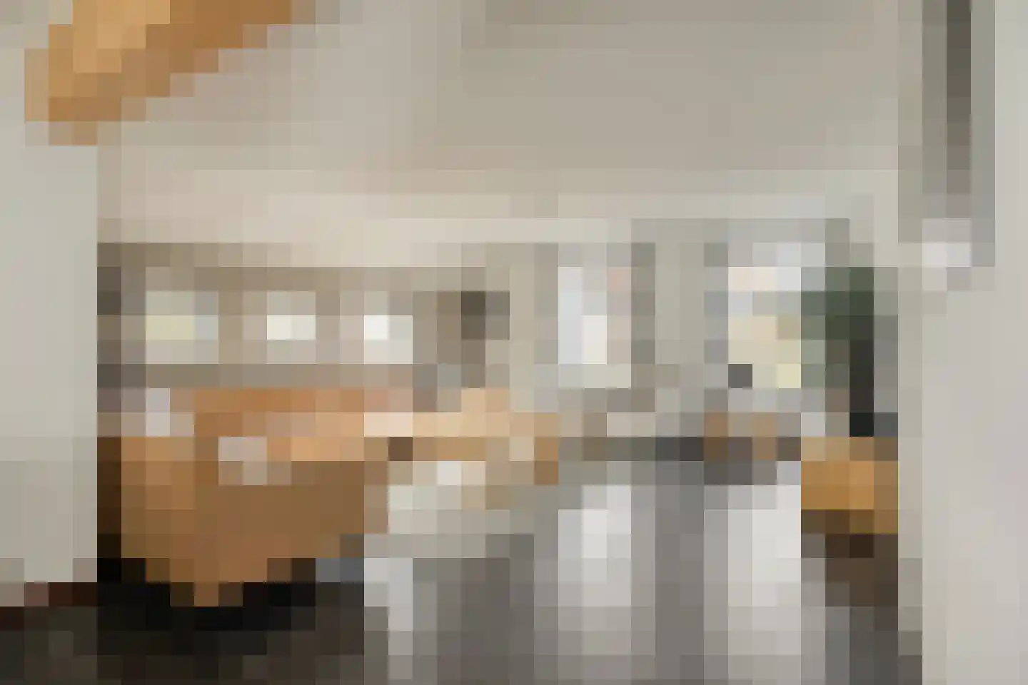 Buitenhof de Leistert 50 Roggel thumbnail 4