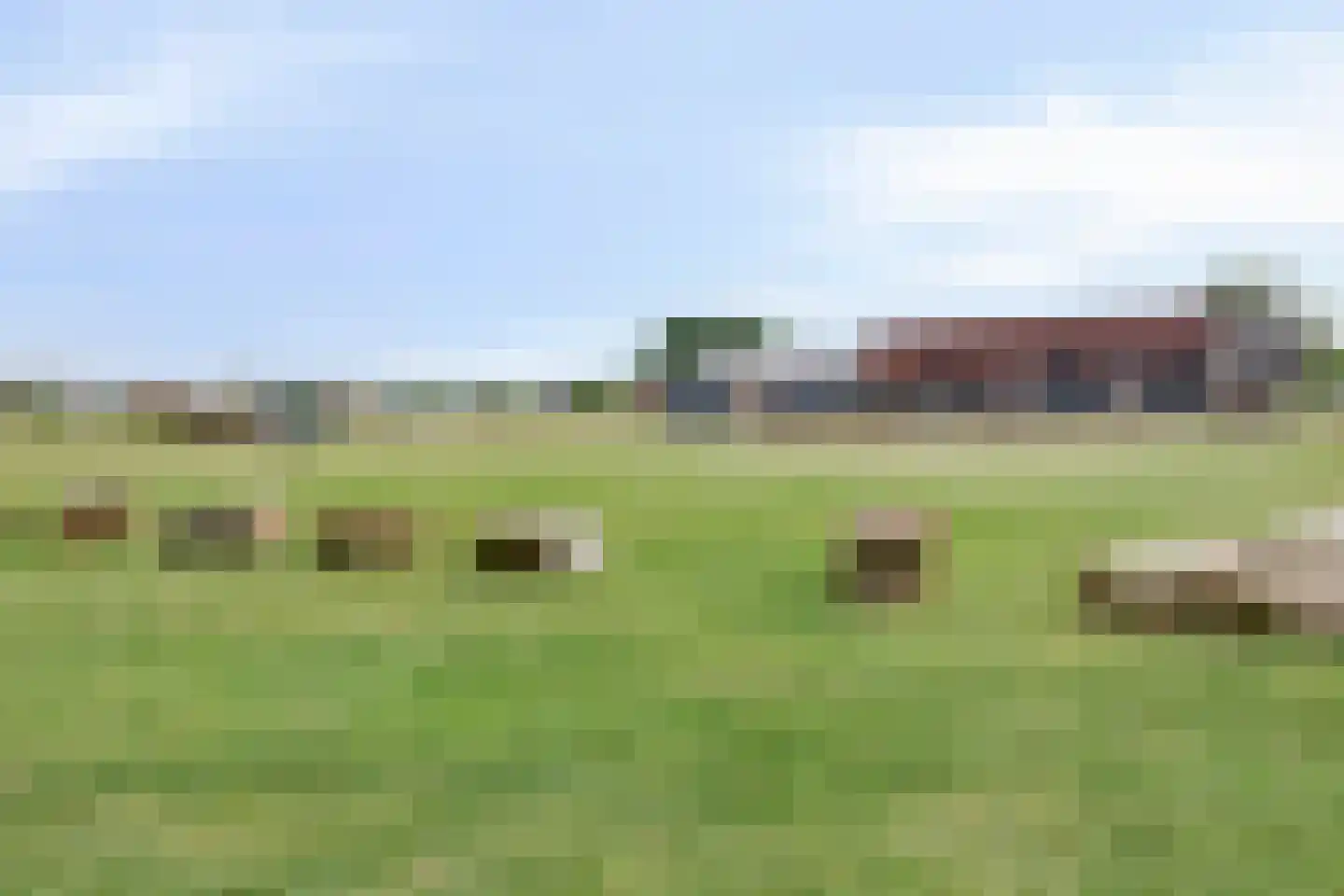 Buitenhof de Leistert 73 Roggel thumbnail 31