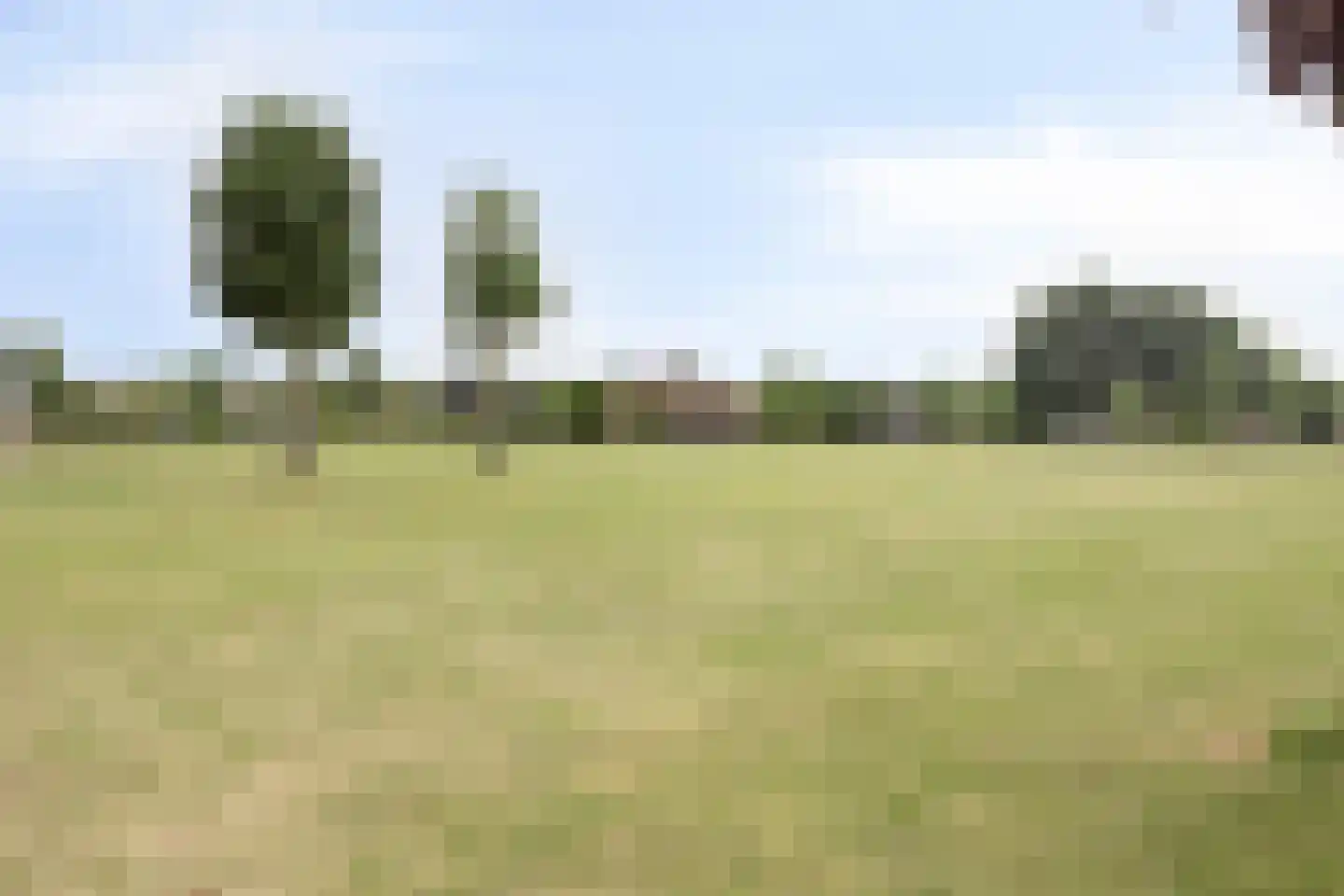 Buitenhof de Leistert 73 Roggel thumbnail 32