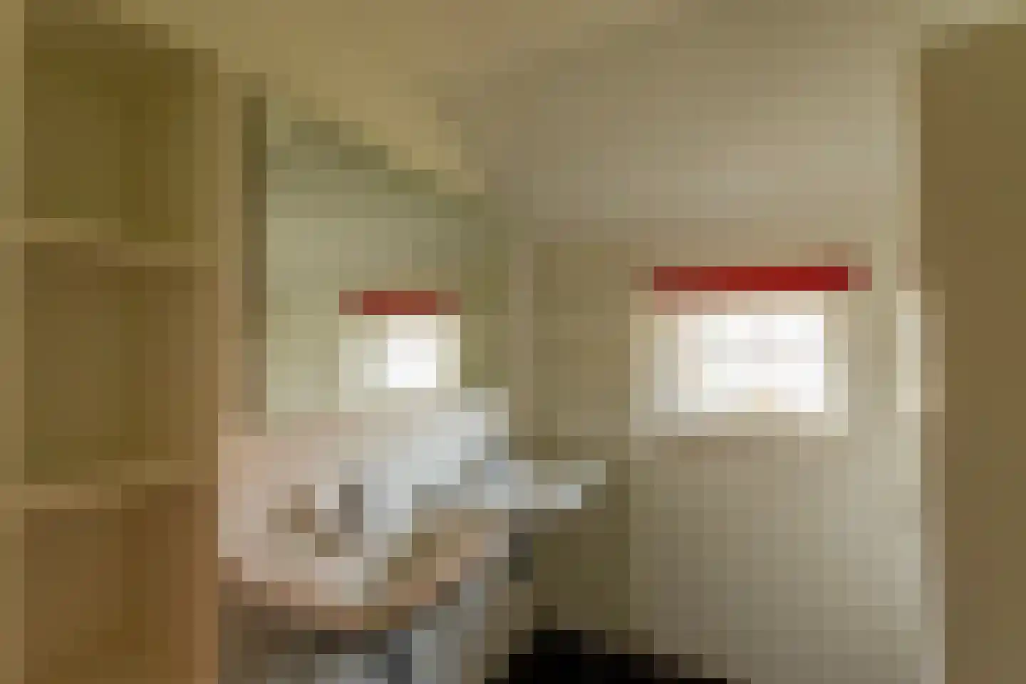 Buitenhof de Leistert 79 Roggel thumbnail 8