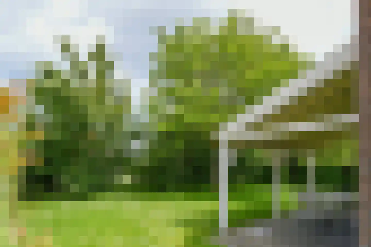 Buitenhof de Leistert 88 Roggel thumbnail 26