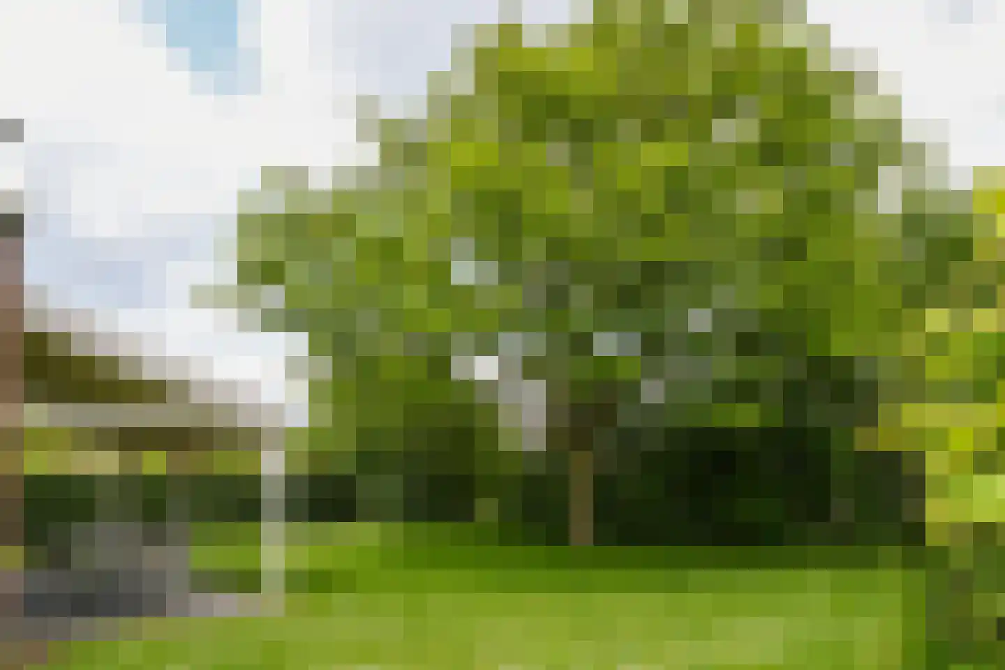 Buitenhof de Leistert 88 Roggel thumbnail 27