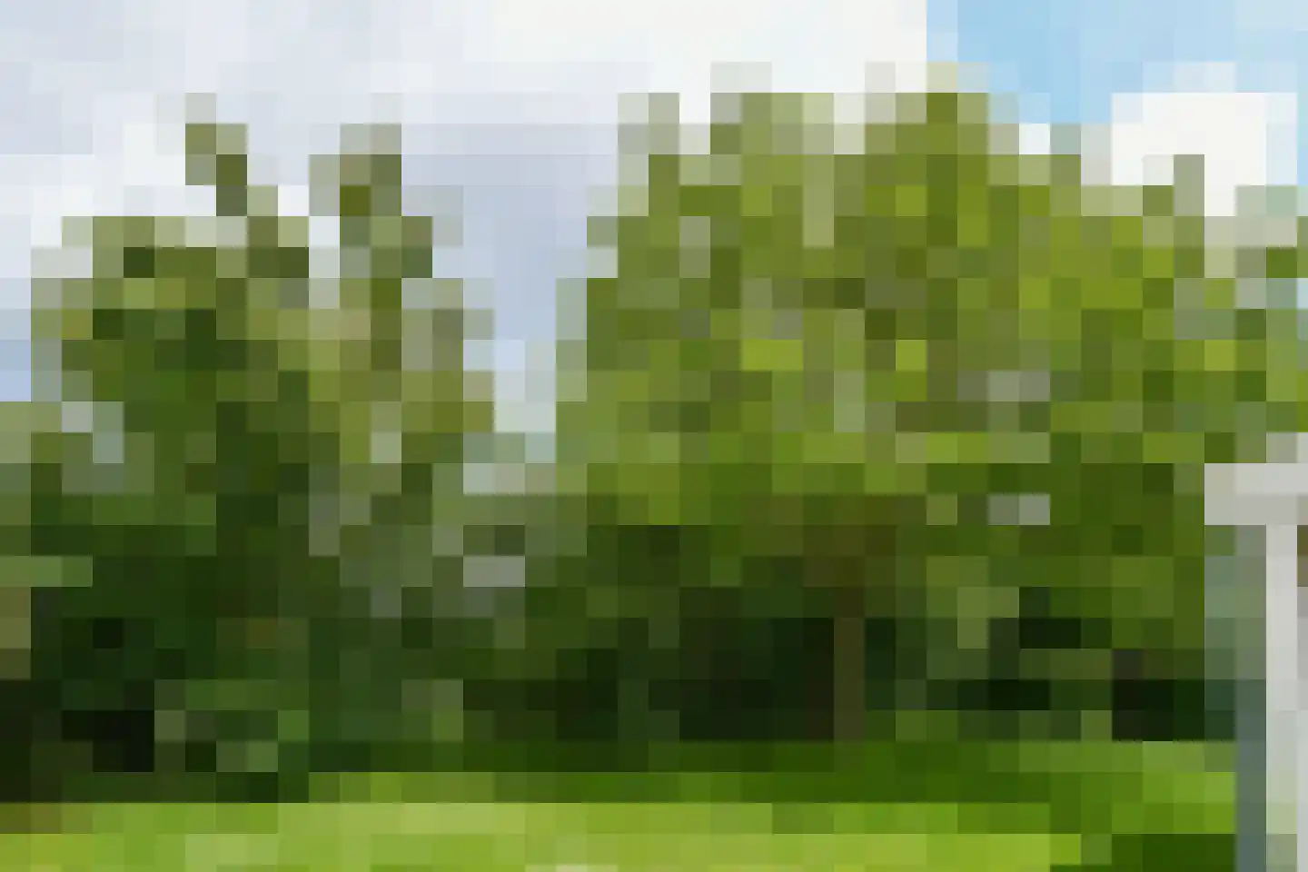 Buitenhof de Leistert 88 Roggel thumbnail 28