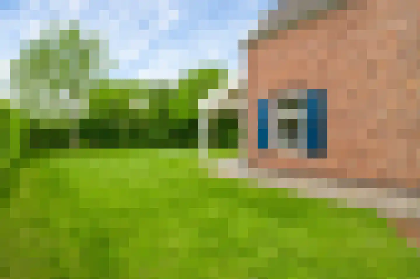 Buitenhof de Leistert 89 Roggel thumbnail 28