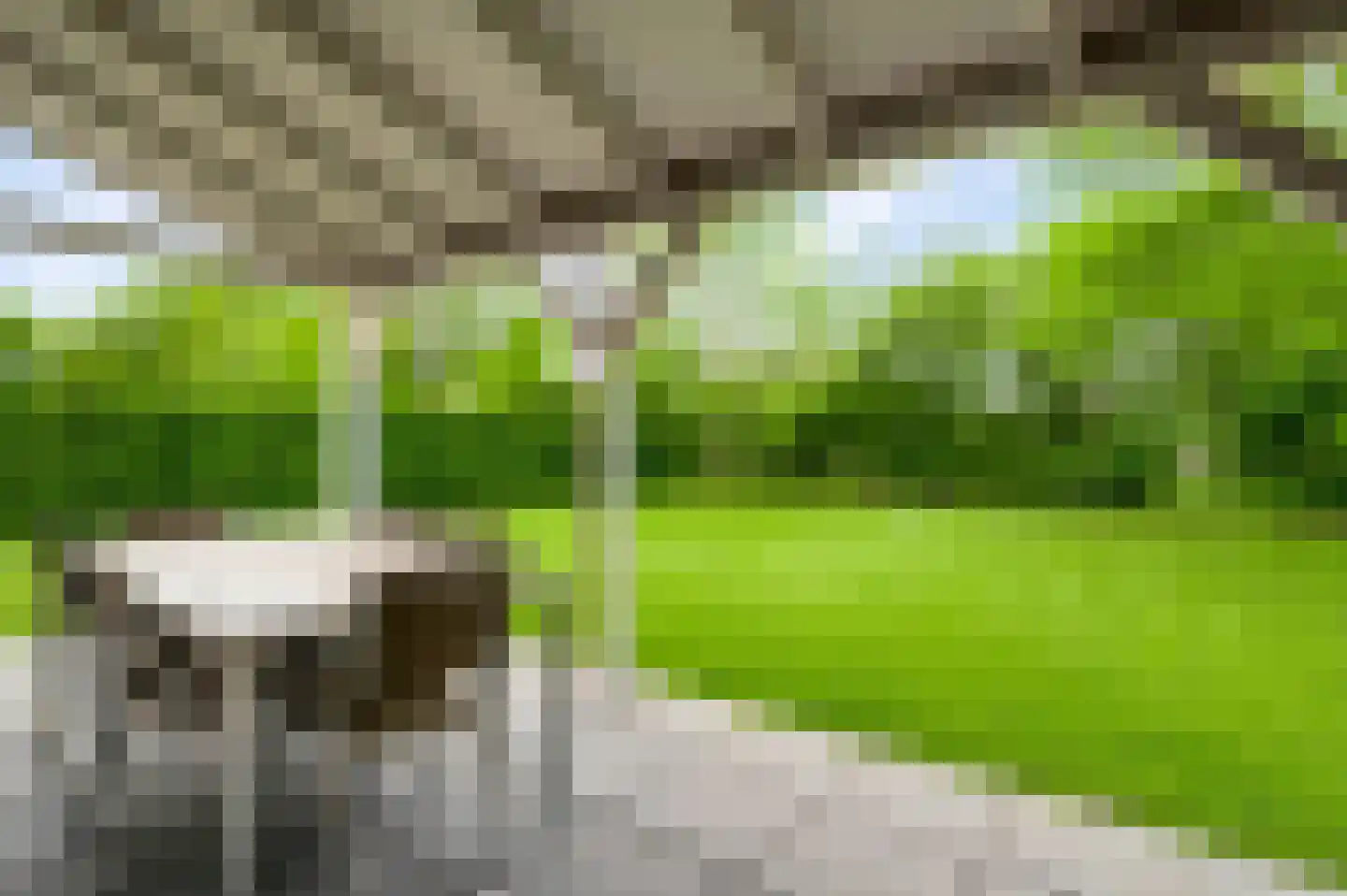 Buitenhof de Leistert 89 Roggel thumbnail 31