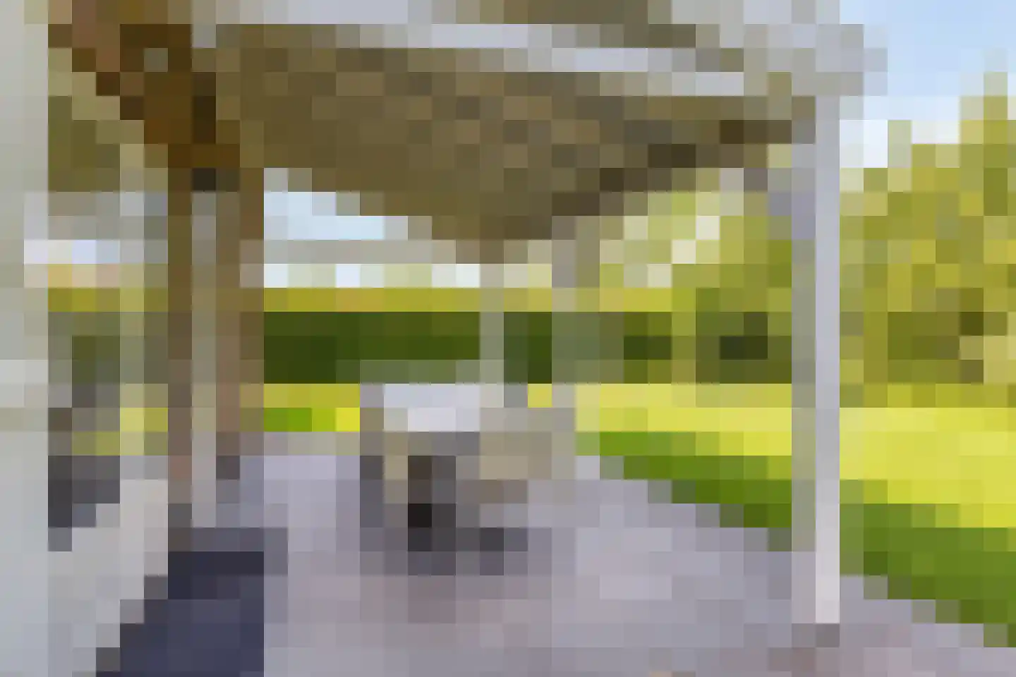 Buitenhof de Leistert 90 Roggel thumbnail 30